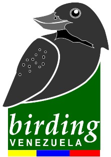 Recurve-billed Bushbird Birding Venezuela logo